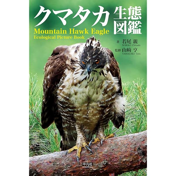 Amazon.co.jp: クマタカ生態モノグラフ eBook : クマタカ生態研究